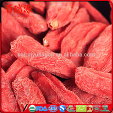 What is goji berry used for benefits of dried goji berries buy goji juice